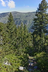 Landscape of trail for The Stinky Lake from area of Tiha Rila (Quiet Rila