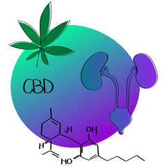 CBD for body