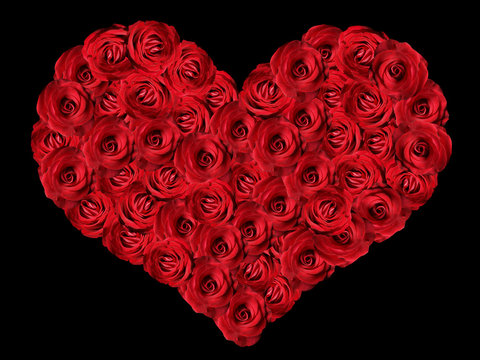 Heart of red roses on Isolated on a black background.