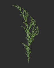 Vector Weed Recursion Design - Plant Like L-system Mathematical Model
