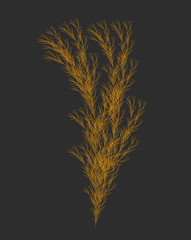 Vector Weed Generative Design - Plant Like L-system Mathematical Model - 314345016