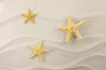 Fototapeta na wymiar Three sea stars on the white sand