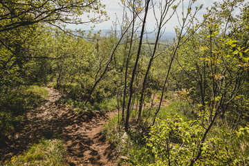 A hiking trail towards Bohor, Slovenia. Path surrounded by small trees and grass, with a nice view in the background.A crossroad of two hiking trails.