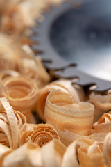 Metal blade of circular and wood shavings.