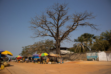 Outdoor food market in Zuguinchor, Senegal, on a sunny day with sun shades or umbrellas visible. Market with a big tree in the background.