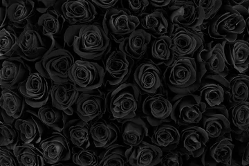 Deurstickers beautiful black roses. floral background © Baranov