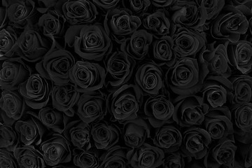 beautiful black roses. floral background - 314347452