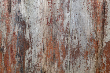 Old Weathered Wood Panel Texture