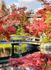 Obraz premium Eikando Zerin-ji Temple, Bridge with fall foliage - Kyoto, Japan