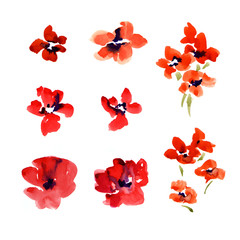 Set of simple watercolor red flowers isolated on white.