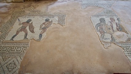 Gladiator Mosaik
