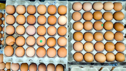 Chicken eggs in cardboard boxes on store shelves