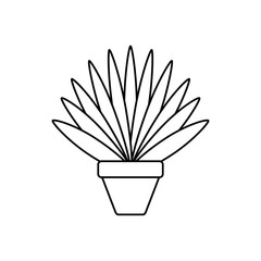 potted succulent plants line style icon