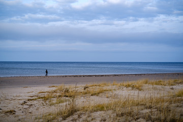 Fototapeta na wymiar empty sea beach in autumn with some bushes and dry grass