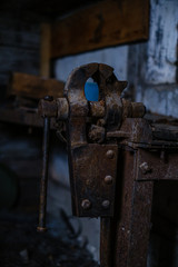 old abandoned house interior with broken furniture and empty windows