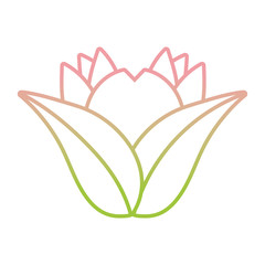 flower foliage plant gradient icon