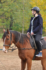 Happy and smiley young woman riding a brown horse. Autumn landscape in the background.