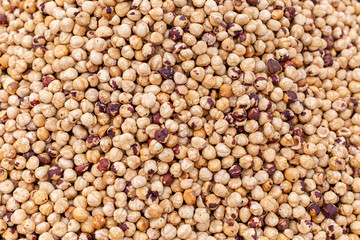 frische geröstete Haselnüße