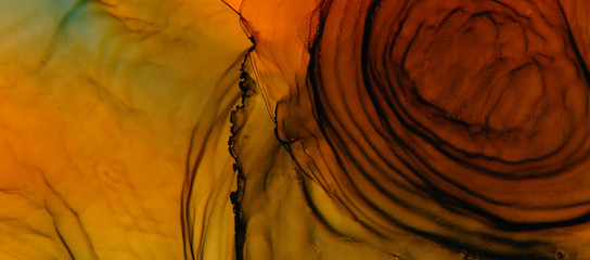 Bright orange and brown watercolor texture background. Hand drawn orange smears, splashes abstract web banner, alcohol ink. © Anastasiia Hevko