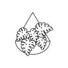 monstera plants in wall pot flat fill