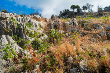 Nature of Mount Pellegrino, landscape. Palermo, Sicily, Italy