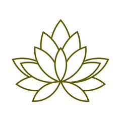 flower nature plant line style