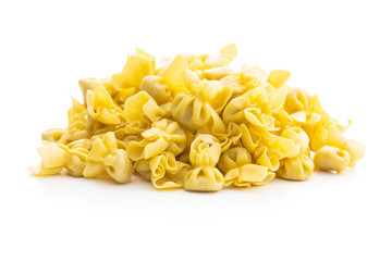 Italian stuffed pasta. Sacchettini pasta.