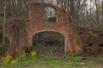 Louisiana mill ruins overrun with vines