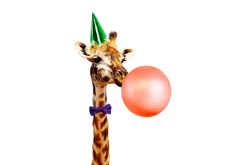 Schilderijen op glas Giraffe blaas luchtballon verjaardagsfeestje wit bg © Sergey Novikov