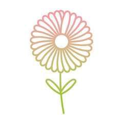 flower stem leaves plant gradient icon