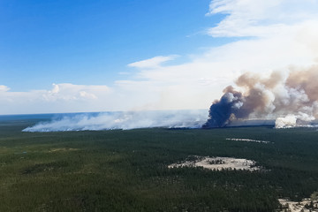 Fototapeta premium Fires in Russian forest, Transbaikal forest in fire, burning of