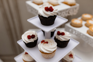 Tasty chocolate cupcakes with raspberry and whipped cream on the candy bar