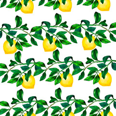 Watercolor lemon with branch and leaves seamless pattern. Hand drawn plants isolated on white background. Botanical illustration for design and decoration, cards, wrapping
