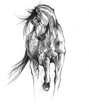 Running Horse Sketch Drawing by Michaela Kyle  Artmajeur