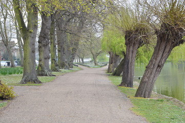 alley in the park
