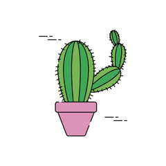 cactus in pot plants flat fill