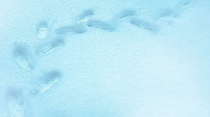 Footprints of a man in the snow, winter background. Snow surface. Blue background with copy space for text or image.