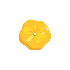 Isolated natural flower vector design