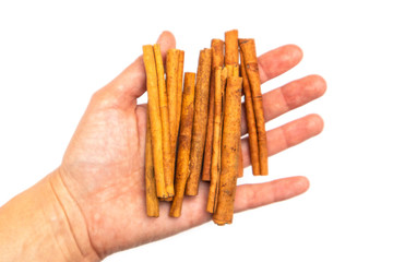 cinnamon sticks in a hand on a white background