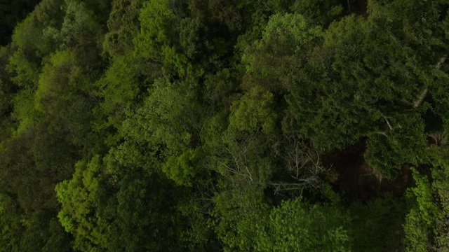 山間風景ドローン空撮