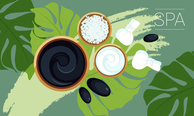 Spa set elements. Dead sea mud, black stones for massage, green tropical leafs on green background. View from above.