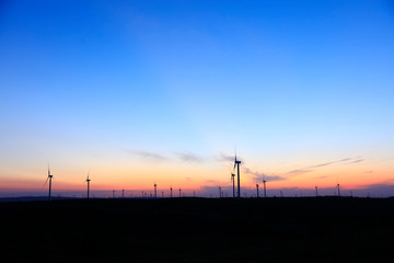 Obraz premium Wind turbines in the evening
