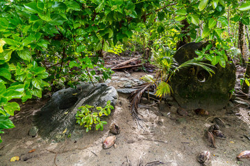 Naklejka na ściany i meble Two giant prehistoric megalithic stone coins or money rai, lying in the sand hidden under trees overgrown in jungle. Yap island, Federated States of Micronesia, Oceania, South Pacific Ocean