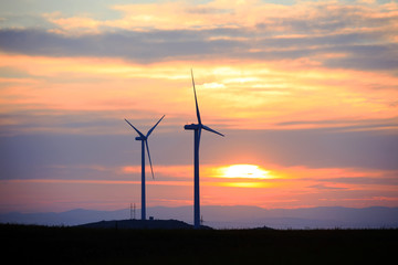 Obraz premium Wind turbines in the evening
