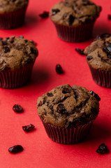 Homemade Cranberry muffins on the color