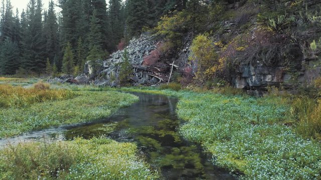 Aerial floating down a river flowing through the autumn colored Black Hills National Forest. South Dakota, USA