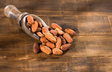 Theobroma cacao - Organic cocoa beans
