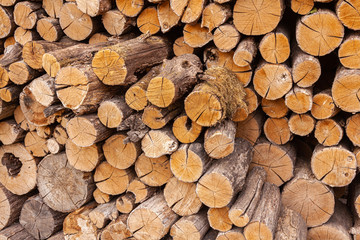Natural wood background. Dry oak firewood stacked in a pile, a whole log for winter fireplace heating. Organic fuel.