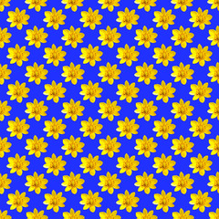 Yellow flower repetitive pattern on blue background. Printable seamless autumn repeat pattern background with marsh marigold flower. Set of yellow flowers isolated for print and design.