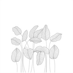 A black and white drawing of a group of tropical leaves.  Vector illustration 